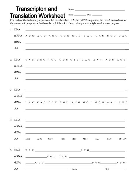 dna replication transcription and translation worksheet